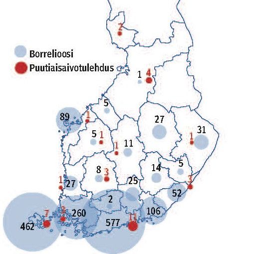 puutiaisaivokuume kartta Potilaan Lääkärilehti   Kesän huolet: Borrelioosi ja puutiaisaivokuume